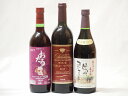 国産葡萄100%赤ワイン3本セット(樽熟マスカット・ベーリーA 信州コンコード中口 北海道おたるキャンベルアーリ辛口)720ml×3本