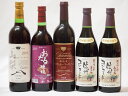 国産葡萄100%赤ワイン5本セット(樽熟マスカット・ベーリーA 山梨県産マスカット・ベーリーA 信州コンコード中口2本 北海道おたるキャンベルアーリ辛口)720...