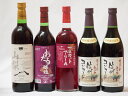 国産葡萄100%赤ワイン5本セット(マスカット・ベーリーA 山梨県産マスカット・ベーリーA 信州コンコード中口2本 北海道おたるキャンベルアーリ辛口)720ml...