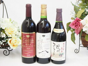 国産葡萄100%赤ワイン3本セット(信州コンコード中口 樽熟マスカット・ベーリーA 山梨県産樽マスカットベーリーA)720ml×3本