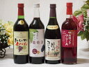 楽しい赤ワイン4本セット (おいしい甘口わいん 赤葡萄からだにやさしい 信州コンコード マスカットベーリーA)720ml×4本
