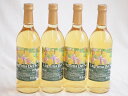 4本セット(名護産パイナップルワイン ラグリマデルソル 辛口) 720ml×4本