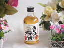 【最大2000円オフクーポン11日1:59迄】紀州産南高梅100% おばあちゃんの梅酒 14度 300ml×1本