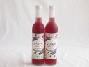 2本セット(奥の松リキュール なつはぜふるーてぃ (福島県)) 500ml×2本