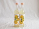 2本セット(日向夏果汁リキュール 日向の夏子 12% 井上酒造(宮崎県)) 500ml×2本