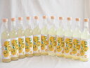 11本セット(日向夏果汁リキュール 日向の夏子 12% 井上酒造(宮崎県)) 500ml×11本