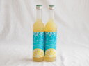 2本セット(日南レモンリキュールさわやかレモン 14% 井上酒造(宮崎県)) 500ml×2本