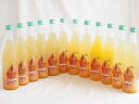 12本セット(日本酒×熊野みかん ORANGE BEAR オレンジベア 7%(三重県)) 720ml×12本
