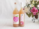 国産桃のお酒を楽しめる2本セット(国産ももとろ 国産もものお酒) 500ml×1本 720ml×1本