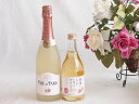 【最大2000円オフクーポン26日1:59迄】桃のお酒を楽しめる2本セット(信州のももを使ったワイン カフェ ド パリ ピーチスパークリング(フランス)) 50...