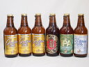 【最大2000円オフクーポン26日1:59迄】名古屋クラフトビール6本セット(インディアペール ゴールデンエール プラチナエール 名古屋赤味噌ラガー) 330ml×6本