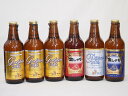 【最大2000円オフクーポン26日1:59迄】名古屋クラフトビール6本セット(アルト ゴールデンエール ピルスナー プラチナエール) 330ml×6本