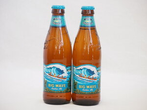 ハワイコナビール2本セット(ビッグウェーブ・ゴールデンエール) 355ml×2本