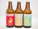 クラフトビール3本セット(アルト インディアペール プラチナエール) 330ml×3本