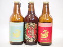 クラフトビール3本セット(アルト インディアペール 名古屋赤味噌ラガー) 330ml×3本