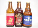 クラフトビール3本セット(アルト 名古屋赤味噌ラガー 瑠璃) 330ml×2本 333ml×1本