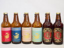 【最大2000円オフクーポン26日1:59迄】クラフトビール6本セット(アルト ピルスナー インディアペール プラチナエール 名古屋赤味噌ラガー) 330ml×6本