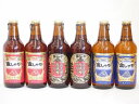 【最大2000円オフクーポン26日1:59迄】【数量限定】飲み比べ金しゃち地ビールセット 330ml×6本