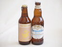 地域が生んだクラフトビール2本セット(金しゃちビールプラチナエールalc5%(愛知県) ヒューガルデンホワイトalc5%(韓国)) 330ml×2本