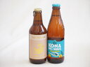 地域が生んだクラフトビール2本セット(金しゃちビールプラチナエールalc5%(愛知県) ビッグウェーブゴールデンエールalc4.5%(アメリカ)) 330ml×1本 355ml×1本