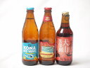 地域が生んだクラフトビール3本セット(金しゃちビール 犬山美偉瀏アルトalc5%(愛知県) ロングボードアイランドラガーalc4.5%(アメリカ) ビッグウェーブゴールデンエールalc4.5%(アメリカ)) 330ml×1本 355ml×2本