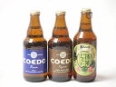 地域が生んだクラフトビール3本セット(金しゃちビール抹茶ドラフトalc6%(愛知県) コエド ルリalc5.5%(埼玉県) コエド キャラalc5%(埼玉県)) 330ml×1本 333ml×2本