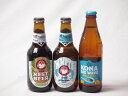 地域が生んだクラフトビール3本セット(常陸野 アンバーエールalc6%(茨城県) 常陸野 ホワイトエールalc5.5%(茨城県) ビッグウェーブゴールデンエールalc4.5%(アメリカ)) 330ml×2本 355ml×1本