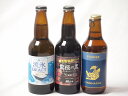 地域が生んだクラフトビール3本セット(網走ビール 流氷ドラフトalc5%(北海道) 網走ビール 監獄の黒alc5.5%(北海道) 金しゃちビールピルスナーalc5%(愛知県)) 330ml×3本