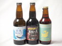 地域が生んだクラフトビール3本セット(網走ビール 流氷ドラフトalc5%(北海道) 網走ビール 監獄の黒alc5.5%(北海道) 金しゃちビールIPAalc7%(愛知県)) 330ml×3本