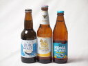 地域が生んだクラフトビール3本セット(網走ビール 流氷ドラフトalc5%(北海道) シンハー(SINGHA)alc5%(タイ) ビッグウェーブゴールデンエールalc4.5%(アメリカ)) 330ml×2本 355ml×1本