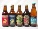 地域が生んだクラフトビール5本セット(金しゃちビール抹茶ドラフトalc6%(愛知県) 金しゃちビールピルスナーalc5%(愛知県) 金しゃちビール名古屋赤味噌ラガーalc6%(愛知県) 金しゃちビール金鯱アルトalc5%(愛知県) ビッグウェーブゴールデ