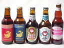 地域が生んだクラフトビール5本セット(金しゃちビールピルスナーalc5%(愛知県) 金しゃちビール金鯱アルトalc5%(愛知県) 常陸野 アンバーエールalc6%(茨城県) 常陸野 ホワイトエールalc5.5%(茨城県) ヒューガルデンロゼalc3%(韓