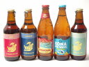 地域が生んだクラフトビール5本セット(金しゃちビールピルスナーalc5%(愛知県) 金しゃちビールIPAalc7%(愛知県) 金しゃちビール金鯱アルトalc5%(愛知県) ロングボードアイランドラガーalc4.5%(アメリカ) ビッグウェーブゴールデンエ