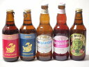 地域が生んだクラフトビール5本セット(金しゃちビール抹茶ドラフトalc6%(愛知県) 金しゃちビールピルスナーalc5%(愛知県) 金しゃちビール金鯱アルトalc5%(愛知県) ヒューガルデンホワイトalc5%(韓国) ヒューガルデンロゼalc3%(韓国