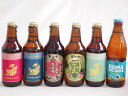地域が生んだクラフトビール6本セット(金しゃちビール抹茶ドラフトalc6%(愛知県) 金しゃちビールピルスナーalc5%(愛知県) 金しゃちビールIPAalc7%(愛知県) 金しゃちビール名古屋赤味噌ラガーalc6%(愛知県) 金しゃちビール金鯱アルトa