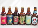 地域が生んだクラフトビール6本セット(金しゃちビール抹茶ドラフトalc6%(愛知県) 金しゃちビールピルスナーalc5%(愛知県) 金しゃちビールIPAalc7%(愛知県) 金しゃちビール名古屋赤味噌ラガーalc6%(愛知県) 金しゃちビール金鯱アルトa
