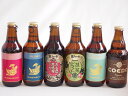 地域が生んだクラフトビール6本セット(金しゃちビール抹茶ドラフトalc6%(愛知県) 金しゃちビールピルスナーalc5%(愛知県) 金しゃちビールIPAalc7%(愛知県) 金しゃちビール名古屋赤味噌ラガーalc6%(愛知県) 金しゃちビール金鯱アルトa