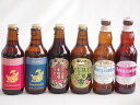 地域が生んだクラフトビール6本セット(金しゃちビール抹茶ドラフトalc6%(愛知県) 金しゃちビールピルスナーalc5%(愛知県) 金しゃちビール名古屋赤味噌ラガーalc6%(愛知県) 金しゃちビール金鯱アルトalc5%(愛知県) ヒューガルデンホワイト