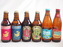 地域が生んだクラフトビール6本セット(金しゃちビール抹茶ドラフトalc6%(愛知県) 金しゃちビールピルスナーalc5%(愛知県) 金しゃちビール名古屋赤味噌ラガーalc6%(愛知県) 金しゃちビール金鯱アルトalc5%(愛知県) ロングボードアイランド