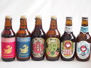 地域が生んだクラフトビール6本セット(金しゃちビール抹茶ドラフトalc6%(愛知県) 金しゃちビールピルスナーalc5%(愛知県) 金しゃちビール名古屋赤味噌ラガーalc6%(愛知県) 金しゃちビール金鯱アルトalc5%(愛知県) 常陸野 アンバーエール