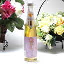 【モンドセレクション金賞受賞】老松酒造 天空の月 樽熟梅酒 500ml