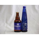 コエドビール ビール クラフトビールパーティ2本セット　コエドRuri333ml　日本酒スパークリング清酒(澪300ml)
