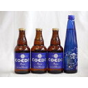 【最大2000円オフクーポン10日1:59迄】クラフトビールパーティ4本セット　コエドRuri333ml×3　日本酒スパークリング清酒(澪300ml)