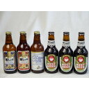 クラフトビールパーティ6本セット　プラチナエール330ml　金しゃちピルスナー330ml　金しゃちアルト330ml　常陸野ネストアンバーエール330ml×3