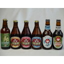 クラフトビールパーティ6本セッ　トIPA330ml　ミツボシウィンナスタイルラガー330ml　ミツボシピルスナー330ml　ミツボシペールエール330ml　常陸野ネストアンバーエール330ml　常陸野ネストホワイトエール330ml