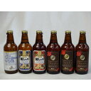 クラフトビールパーティ6本セット プラチナエール330ml IPA感謝ビール330ml 金しゃちピルスナー330ml 金しゃちアルト330ml