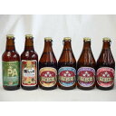 クラフトビールパーティ6本セット IPA330ml　金しゃちアルト330ml　ミツボシウィンナスタイルラガー330ml ミツボシピルスナー330ml　ミツボシペールエール330ml ミツボシヴァイツェン330ml