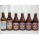 【商品名】クラフトビールパーティ6本セット プラチナエール330ml　金しゃちアルト330ml　ミツボシウィンナスタイルラガー330ml ミツボシピルスナー330ml　ミツボシペールエール330ml ミツボシヴァイツェン330ml【内容】●ミツボシヴァイツェン330ml(愛知県) ドイツ・バイエルン地方発祥の伝統的な上面発酵ビール。原料麦芽に小麦麦芽を50%程度使用し、酵母由来のクローブやバナナのような魅力的な香味、柔らかな口当たりが特徴。原料となる麦芽とホップも100％ドイツ産を使用しクラシカルな味わいの中に上品な金しゃちビールらしさを織り込んだこだわりの逸品。 ■アルコール度数：5.5％●ミツボシウィンナスタイルラガー330ml(愛知県) 麦芽は旨味成分に富んだ麦芽を贅沢に使用し、マイルドなコクを表現。ホップには欧州産のアロマホップを使用。はっきりとしたボディー感にモルトの香味が広がる、リッチな味わいのラガーです。歴史的な背景から発祥地ウィーンでも造られなくなってしまった希少なスタイルを復活させました。 ■アルコール度数：6.0％●ミツボシピルスナー330ml(愛知県) 麦芽はすべてドイツ産、ホップはチェコ産ファインアロマホップとドイツ産アロマホップのみを使用、とことんまで原材料にこだわりました。また、大手ビールメーカでも1社しか採用していない「ダブルデコクション法」を採用。低温でじっくり発酵を行い、熟成期間も通常の1.5倍の期間で丹念に仕上げています。 ■アルコール度数：5.5％●ミツボシペールエール330ml(愛知県) 麦芽とホップはすべて英国産。麦芽には希少品種マリスオッター種、ホップも世界的に希少なアロマホップを使用した希少性の高い逸品。いくぶんドライで、キレのあるクラシカルな味わいに仕上げました。 ■アルコール度数：5.0％●プラチナエール330ml金賞受賞！(愛知県) 小麦麦芽を用いて醸造した金しゃちオリジナルのビールです。小麦麦芽のマイルドな口当たり、酵母が織り成す醸造香とカスケードホップ由来の柑橘系の上品なアロマ、爽やかな酸味、やわらかな香味が特徴のホワイトビールです。 ■アルコール分：5％