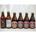 【商品名】クラフトビールパーティ6本セット IPA感謝ビール330ml プラチナエール330ml ミツボシヴァイツェン330ml　ミツボシウィンナスタイルラガー330ml ミツボシピルスナー330ml　ミツボシペールエール330ml【内容】●ミツボシヴァイツェン330ml(愛知県) ドイツ・バイエルン地方発祥の伝統的な上面発酵ビール。原料麦芽に小麦麦芽を50%程度使用し、酵母由来のクローブやバナナのような魅力的な香味、柔らかな口当たりが特徴。原料となる麦芽とホップも100％ドイツ産を使用しクラシカルな味わいの中に上品な金しゃちビールらしさを織り込んだこだわりの逸品。 ■アルコール度数：5.5％●ミツボシウィンナスタイルラガー330ml(愛知県) 麦芽は旨味成分に富んだ麦芽を贅沢に使用し、マイルドなコクを表現。ホップには欧州産のアロマホップを使用。はっきりとしたボディー感にモルトの香味が広がる、リッチな味わいのラガーです。歴史的な背景から発祥地ウィーンでも造られなくなってしまった希少なスタイルを復活させました。 ■アルコール度数：6.0％●ミツボシピルスナー330ml(愛知県) 麦芽はすべてドイツ産、ホップはチェコ産ファインアロマホップとドイツ産アロマホップのみを使用、とことんまで原材料にこだわりました。また、大手ビールメーカでも1社しか採用していない「ダブルデコクション法」を採用。低温でじっくり発酵を行い、熟成期間も通常の1.5倍の期間で丹念に仕上げています。 ■アルコール度数：5.5％●ミツボシペールエール330ml(愛知県) 麦芽とホップはすべて英国産。麦芽には希少品種マリスオッター種、ホップも世界的に希少なアロマホップを使用した希少性の高い逸品。いくぶんドライで、キレのあるクラシカルな味わいに仕上げました。 ■アルコール度数：5.0％●プラチナエール330ml金賞受賞！(愛知県) 小麦麦芽を用いて醸造した金しゃちオリジナルのビールです。小麦麦芽のマイルドな口当たり、酵母が織り成す醸造香とカスケードホップ由来の柑橘系の上品なアロマ、爽やかな酸味、やわらかな香味が特徴のホワイトビールです。 ■アルコール分：5％