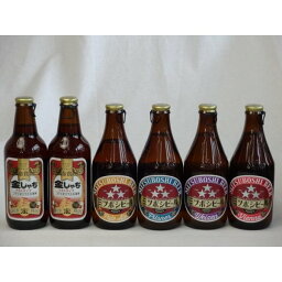 クラフトビールパーティ6本セット金しゃちアルト330ml ミツボシヴァイツェン330ml　ミツボシウィンナスタイルラガー330ml ミツボシピルスナー330ml　ミツボシペールエール330ml